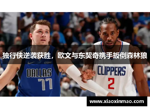 独行侠逆袭获胜，欧文与东契奇携手扳倒森林狼