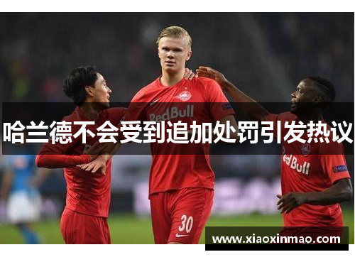 哈兰德不会受到追加处罚引发热议