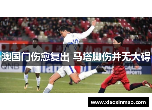 澳国门伤愈复出 马塔脚伤并无大碍