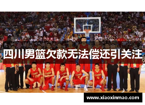 四川男篮欠款无法偿还引关注